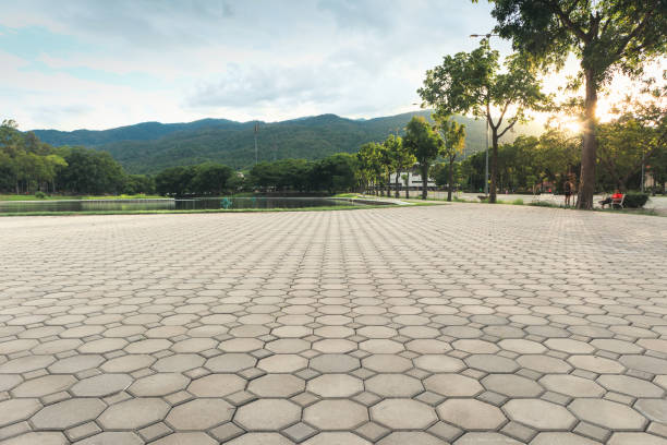 Best Local Driveway Pavers  in Riverview, DE
