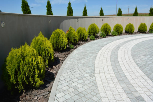  Riverview, DE Driveway Pavers Pros